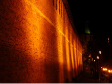 "�����������" �����