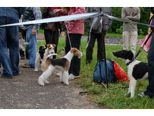 _DSC0189� - �����.jpg