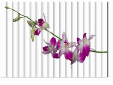 ���� �� ������ .jpg