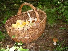 ������ �������, ��������� �������