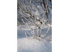 DSC_0369 ����.jpg