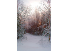 DSC_0310 ����.jpg