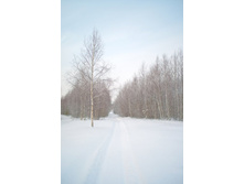 DSC_0279 ����.jpg