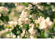 DSC_1014 ���2 ����1.jpg