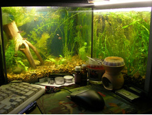 �����������25� � ����� ���� 40�.