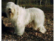 ����� (2005�)_1.JPG