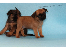 ����� � ������.JPG