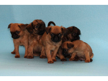 ��� � ���.JPG