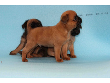 ����� � ������.JPG