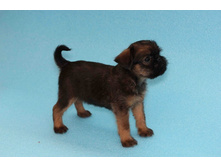 ����� ����� �����.JPG