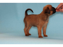 ����� ������.JPG