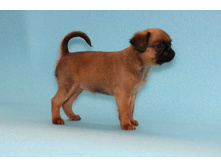 ����� ��������.JPG