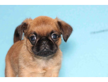 ������ ����.JPG