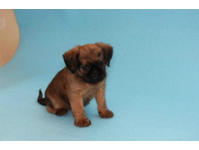 ����� ����.JPG