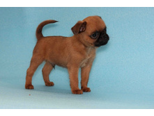 ������ ��.JPG