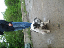 ����������� 024.jpg