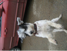 ����������� 025.jpg