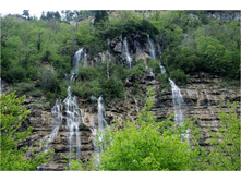 DSC_7979.jpg
