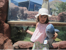 ����������, ���������.jpg