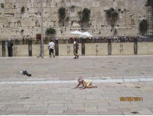 ������ �� �������� � ����� �����.jpg