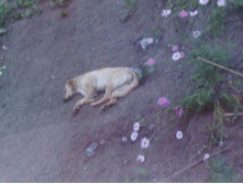 ����������� 1127.jpg