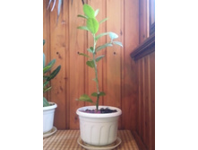 ��������������� 1.jpg