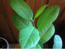 �������� ���������������.jpg