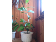 ����� � ����.jpg