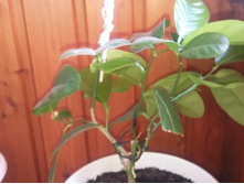 ����� ����� �����.jpg