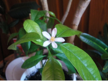 ����������� 001.jpg