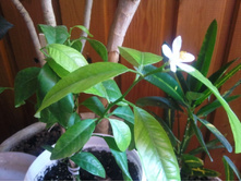 ����������� 002.jpg