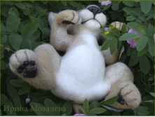 ������� �����.jpg