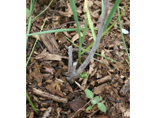 ��������� ������� ��� !!!!