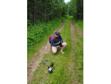 ������ �����.