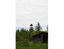 �������� ������� ������� 