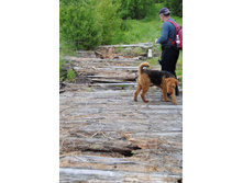 �����-�� ��� ��� ����