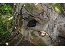 �� ��� ����� 