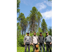 4�� �� ���� � 14 ����� ������ (�� ����)