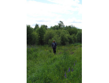 4�� �� ���� � 28 ����� ������ ����� 2