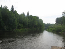 Resize of IMG_9215.JPG