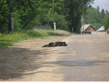 Resize of IMG_9227.JPG