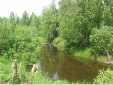 Resize of IMG_9232.JPG