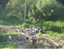 Resize of IMG_9267.JPG