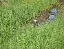 Resize of IMG_9273.JPG