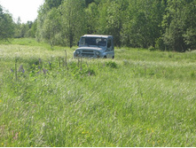 Resize of IMG_9278.JPG