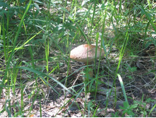 Resize of IMG_9280.JPG