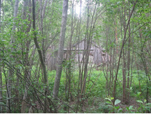 Resize of IMG_9289.JPG