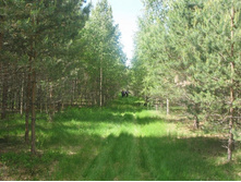 Resize of IMG_9296.JPG