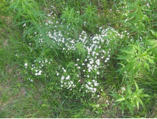 Resize of IMG_9297.JPG