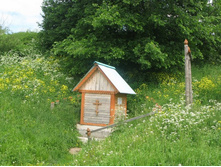 Resize of IMG_9328.JPG